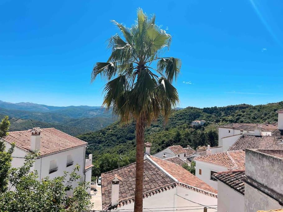 La Palmera. Casa Rural Con Piscina Privada. Villa Benadalid Bagian luar foto