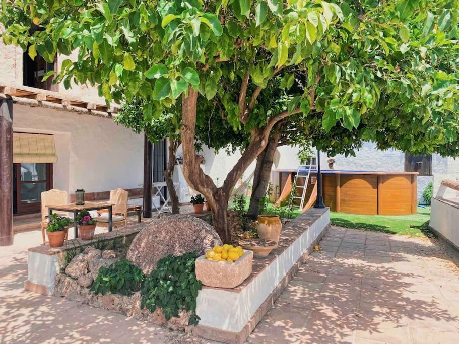 La Palmera. Casa Rural Con Piscina Privada. Villa Benadalid Bagian luar foto